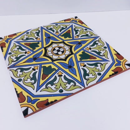 Hand Painted Ceramic Tile Mural, Cuerda Seca Art, 11x11